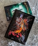 Windborn Cover